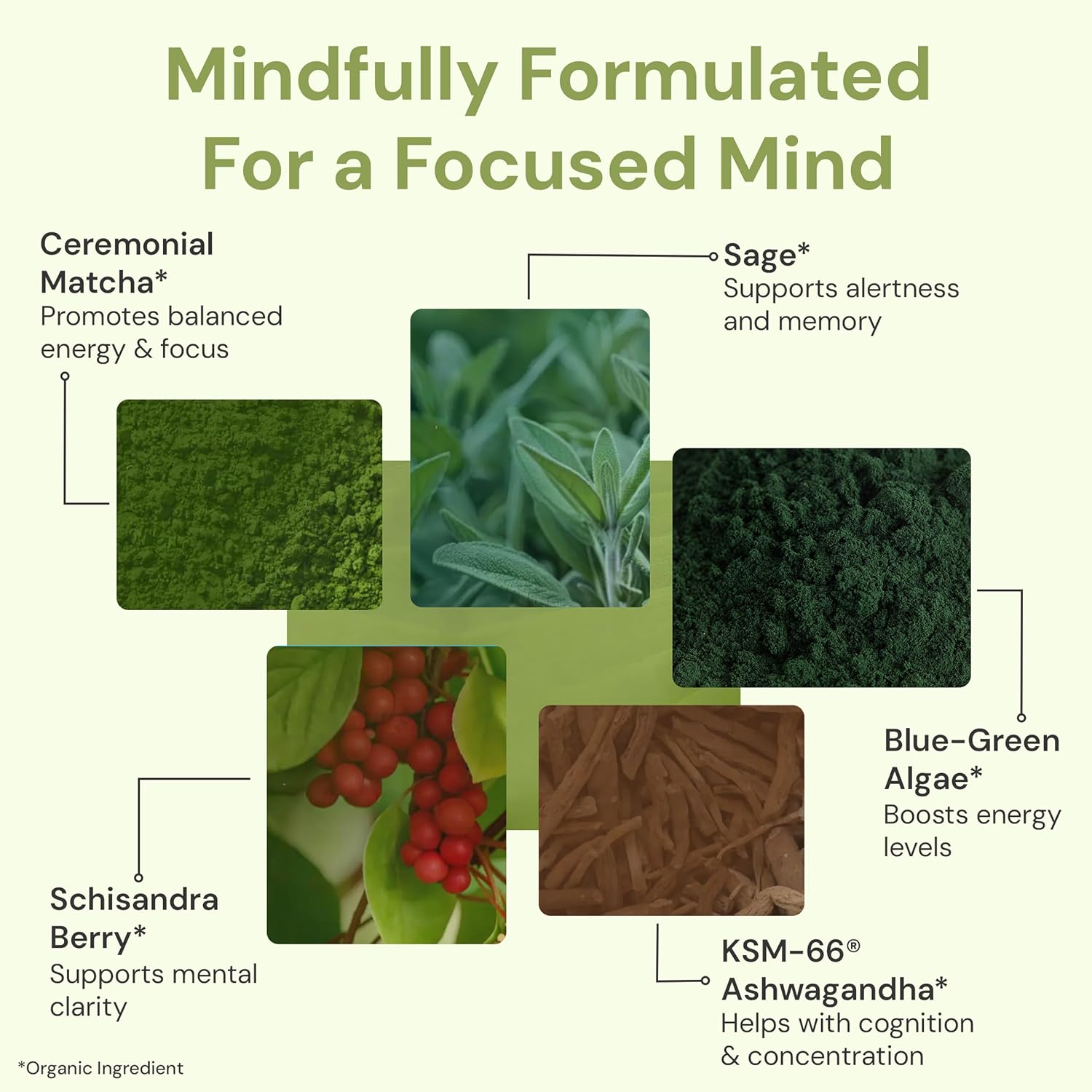 ION* Intelligence of Nature Focused Mind Nootropic Powder Drink Mix - Brain Boost con Matcha para Memoria, Concentración y Relajación - 20 Sobres
