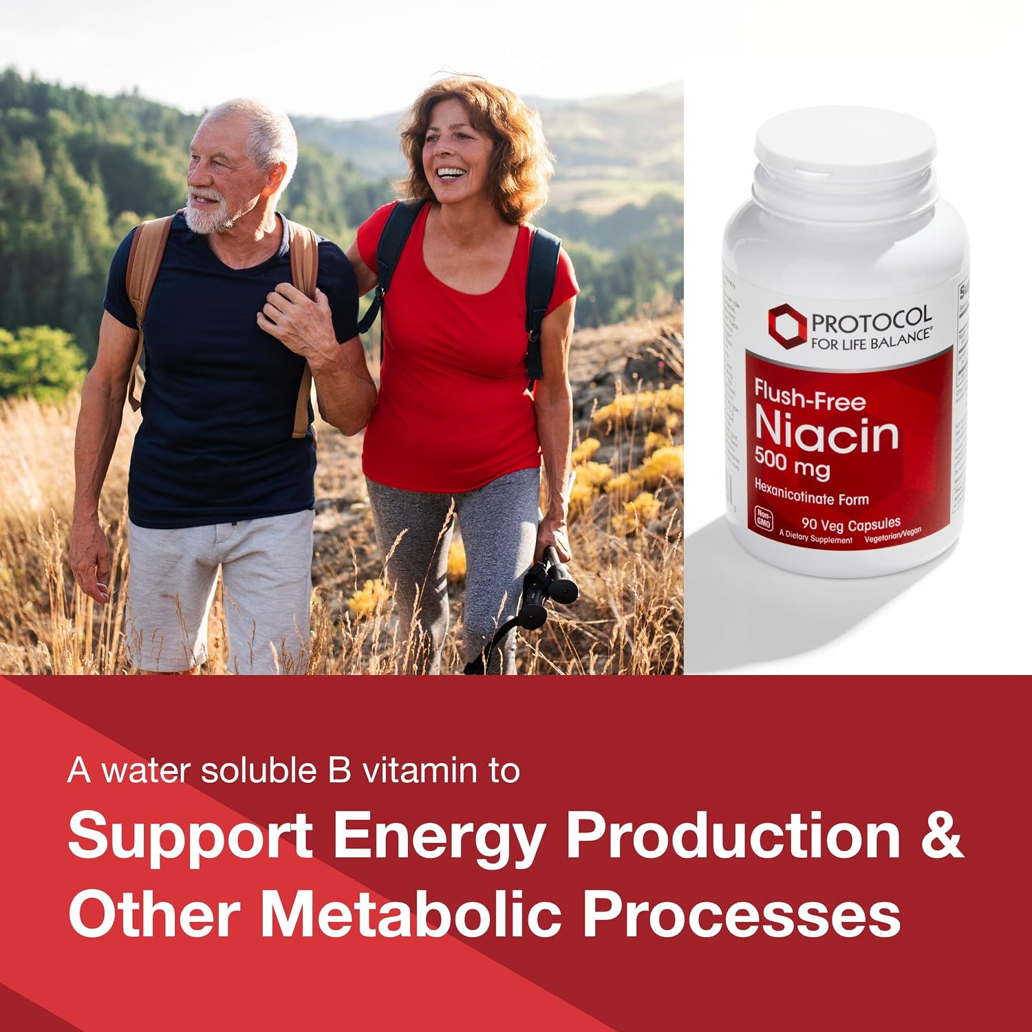 Protocol for Life Balance Niacina 500 mg - Hexanicotinato de inositol - Sin enrojecimiento - Vitamina B3 - 90 cápsulas veganas