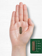 Carlyle Suplemento de Schisandra 1160 mg | 200 Cápsulas | Extracto de Baya | No Transgénico y Sin Gluten