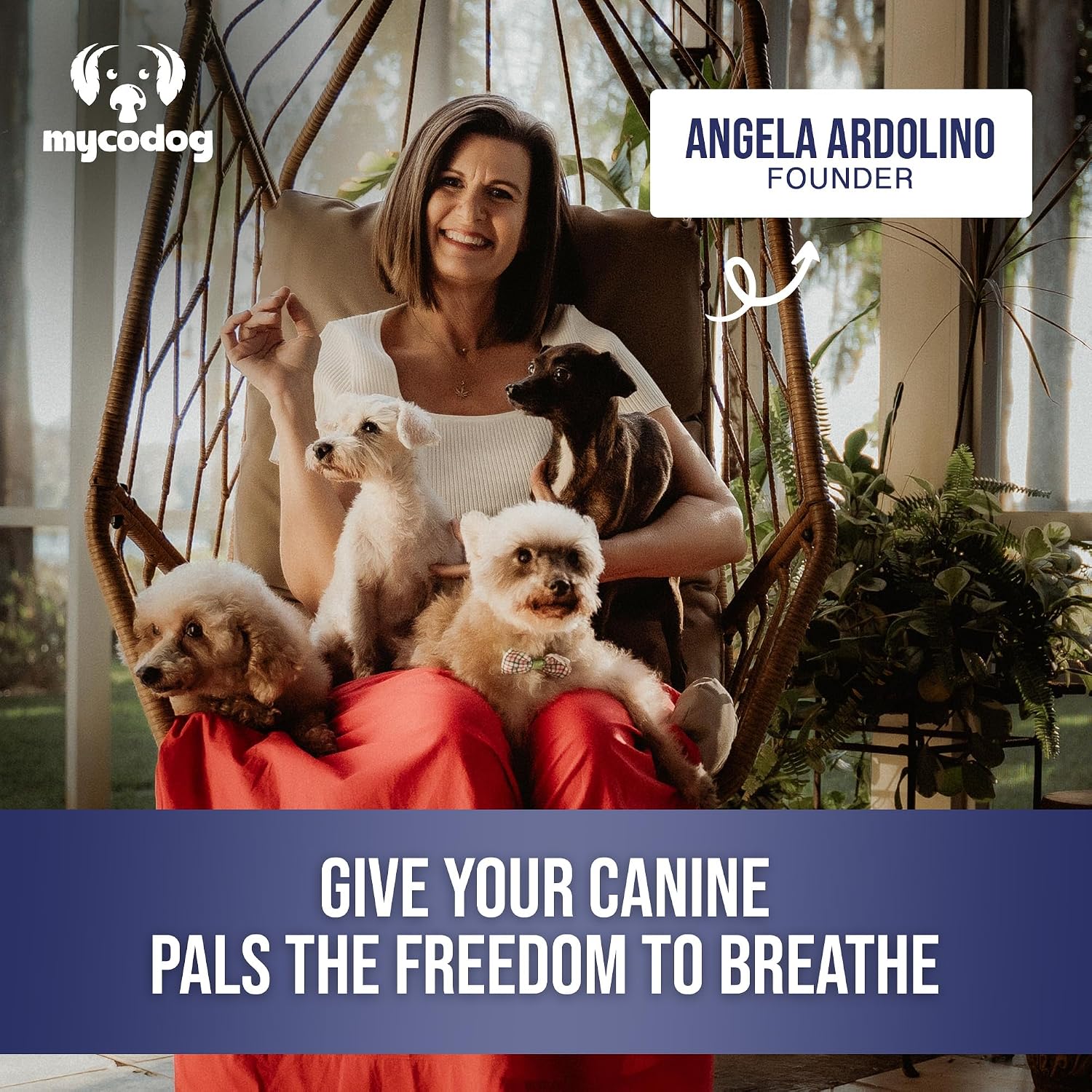 MycoDog Breathe - Gotas de apoyo respiratorio para perros - Confort respiratorio y salud de las vías respiratorias - Para Bulldogs Franceses, Pugs y razas de hocico plano - Mezcla natural de hongos y ashwagandha