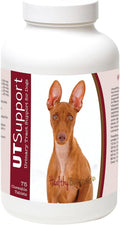 Healthy Breeds Masticables de Arándano para Perros - Apoyo Urinario - 75 uds