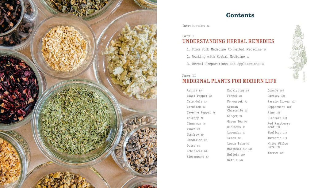Herbal Medicine for Modern Life: Traditional Folk Remedies for Everyday Health and Well-Being
