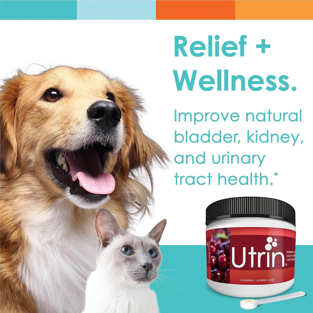 NUSENTIA UTRIN – Soporte Urinario para Perros y Gatos – Arándano y D-Mannosa – Salud de la Vejiga e Incontinencia, 60 Dosis