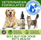 Kennel Cough Treatment para Perros y Gatos - Alivio de la Tos - Gotas Herbales - 60 ml