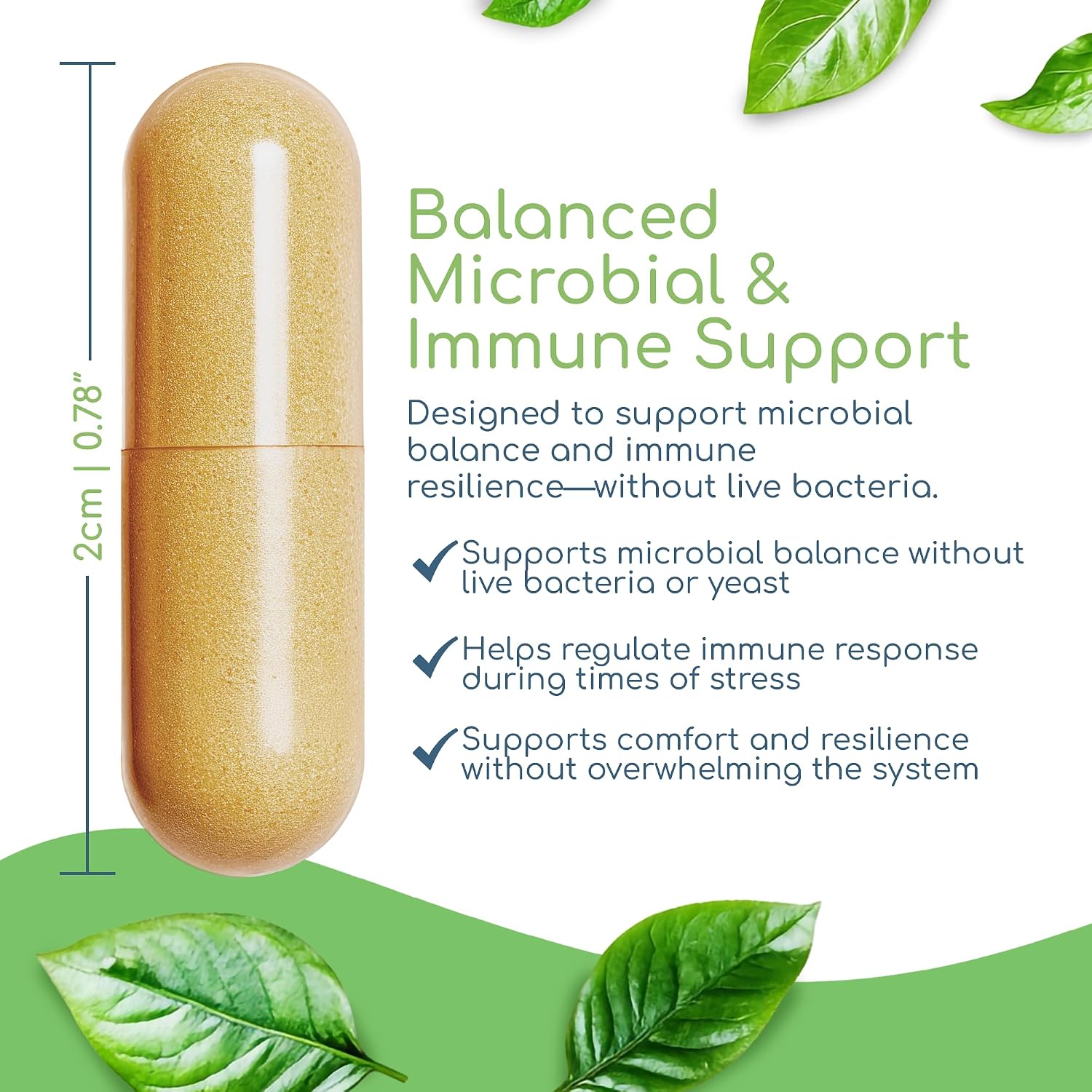 Herbal Biotic, Vitaminas de Apoyo Inmunitario, 120 Cápsulas Veganas