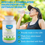 One Planet Nutrition Nano Amla 500 mg Veggie Capsules (120 caps) - Extracto de Amla con Vitamina C