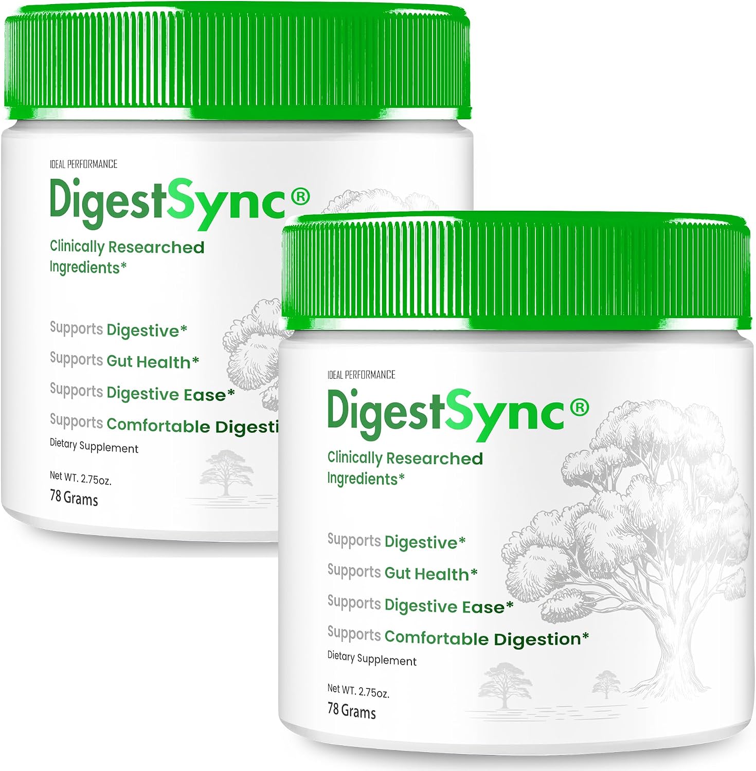 DIgestSync Gut Health Powder - Fórmula Avanzada - Polvo Natural para Soporte Digestivo (2 Paquetes)