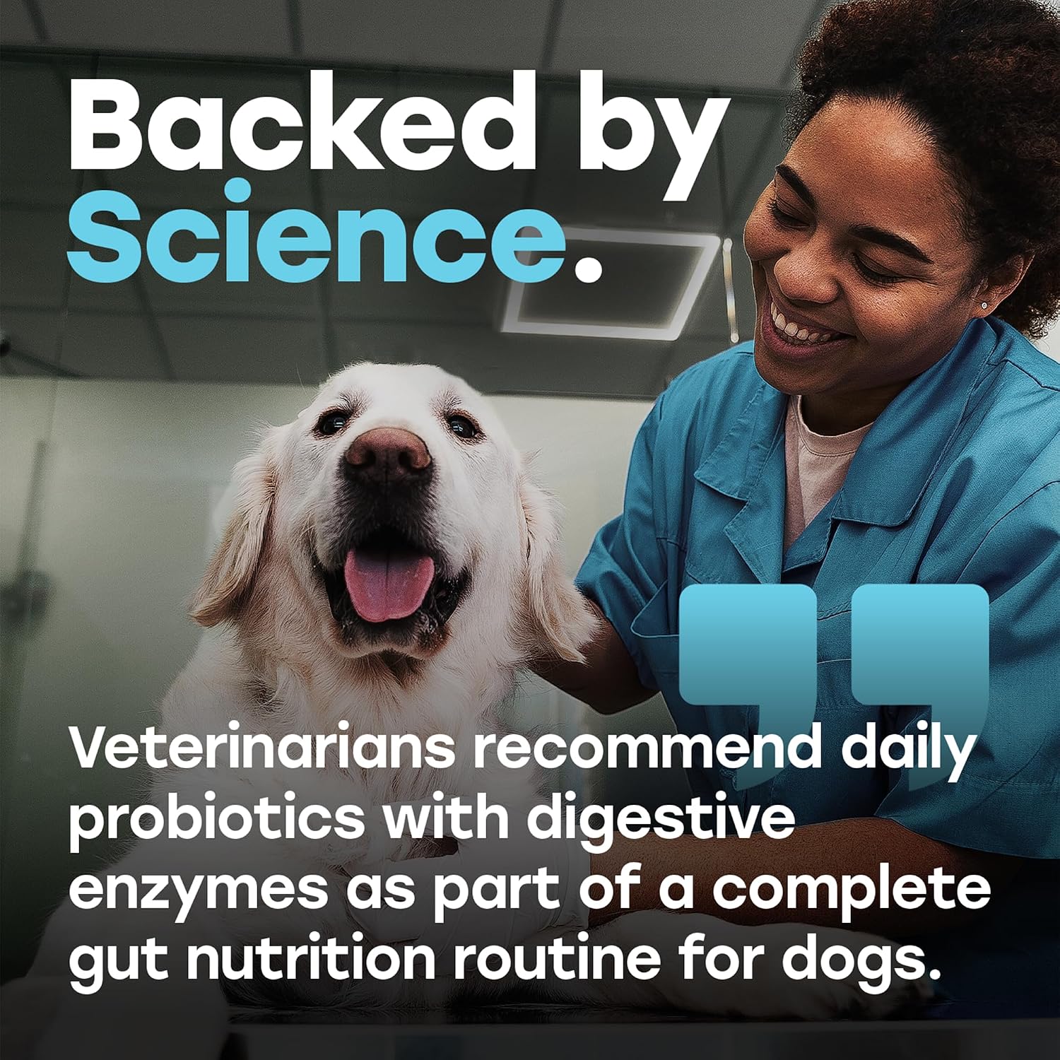 Pup Choice Probiotics para Perros - Digestión, Salud Intestinal y Heces Más Firmes | 1 Billón UFC, 6 Cepas con Calabaza, Papaya y Cúrcuma; Sabor a Ternera; 140 masticables blandos
