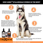 TRIXSYN Canine - Suplemento Líquido para Articulaciones de Perro con Ácido Hialurónico - Fórmula Patentada MHB3 - 2 Botellas de 177 ml