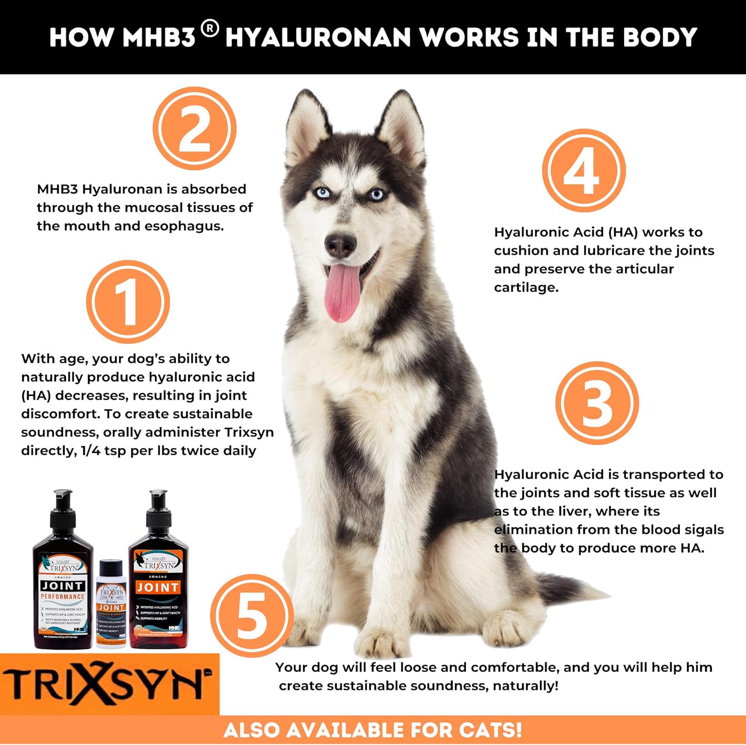 TRIXSYN Canine - Suplemento Líquido para Articulaciones de Perro con Ácido Hialurónico - Fórmula Patentada MHB3 - 2 Botellas de 177 ml