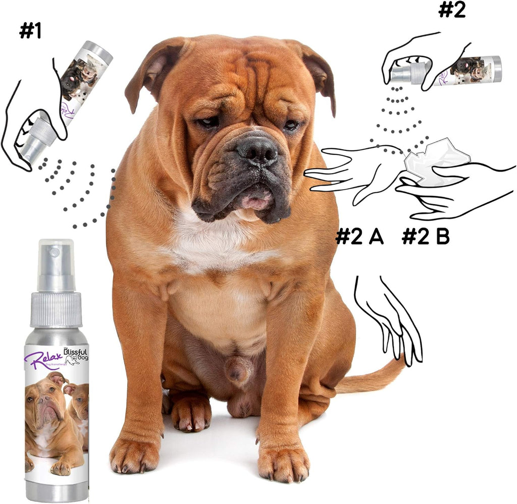 Spray de Aromaterapia Relajante para Perros - The Blissful Dog (82ml)