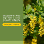 Natural Factors Berberine LipoMicel Matrix - 90 Cápsulas Blandas