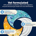 Vetnique Glandex Probióticos Masticables para Perros - 5 Cepas, Prebióticos y Enzimas Digestivas - Salud Intestinal e Inmunológica - 30 Masticables