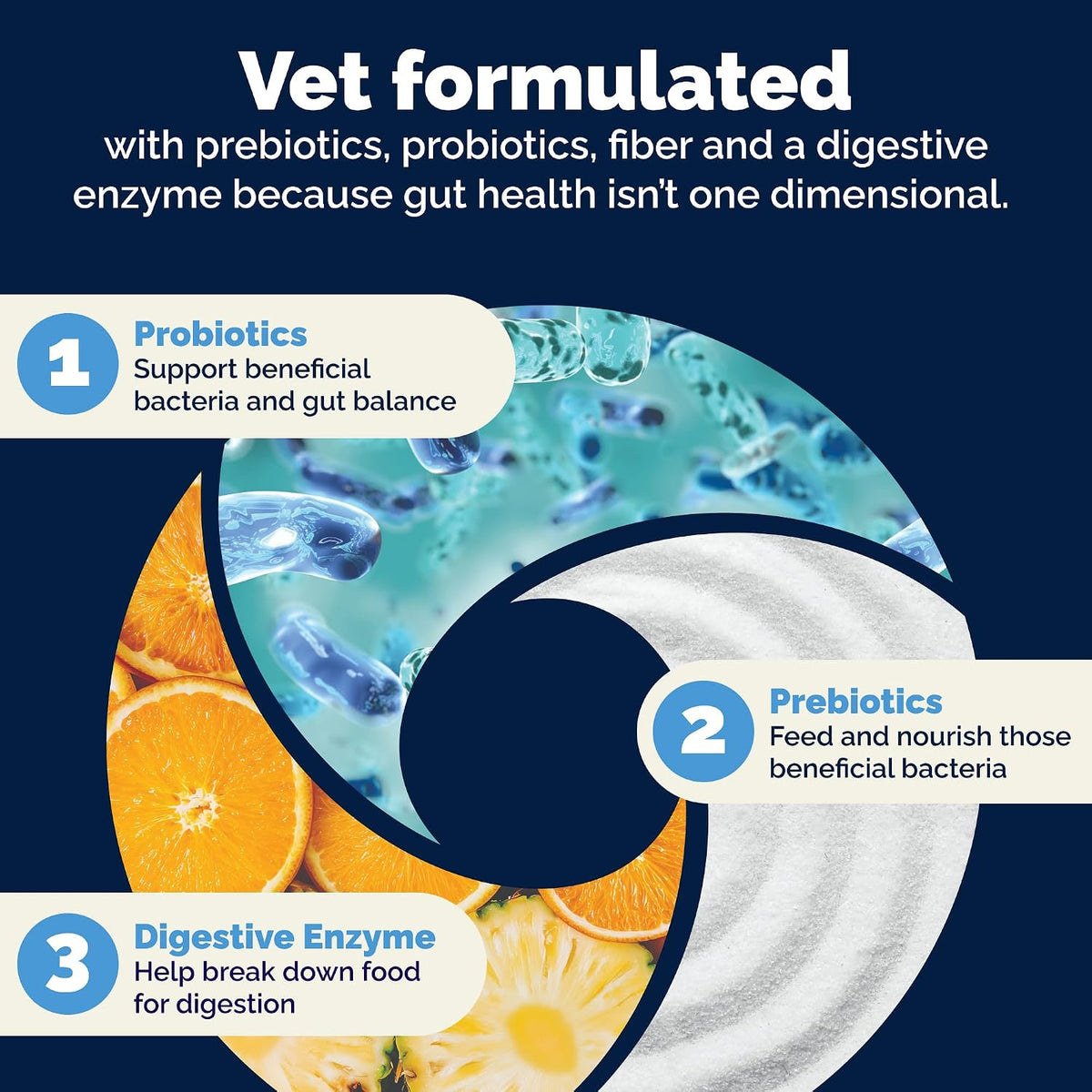 Vetnique Glandex Probióticos Masticables para Perros - 5 Cepas, Prebióticos y Enzimas Digestivas - Salud Intestinal e – Image 8
