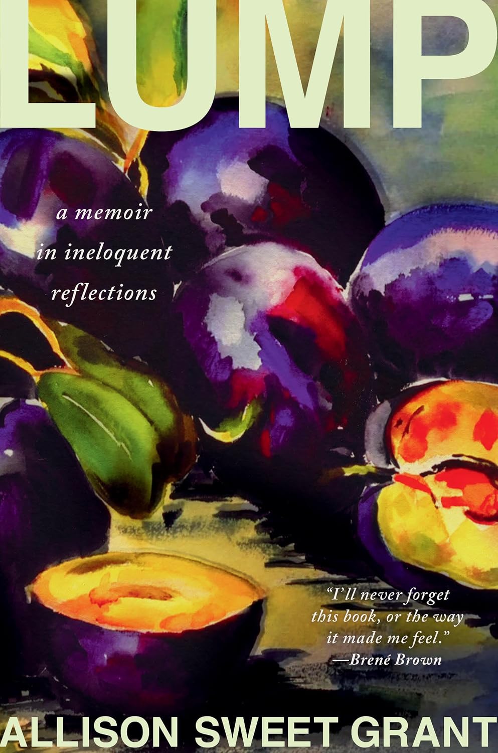Bulto: Unas memorias de reflexiones poco elocuentes