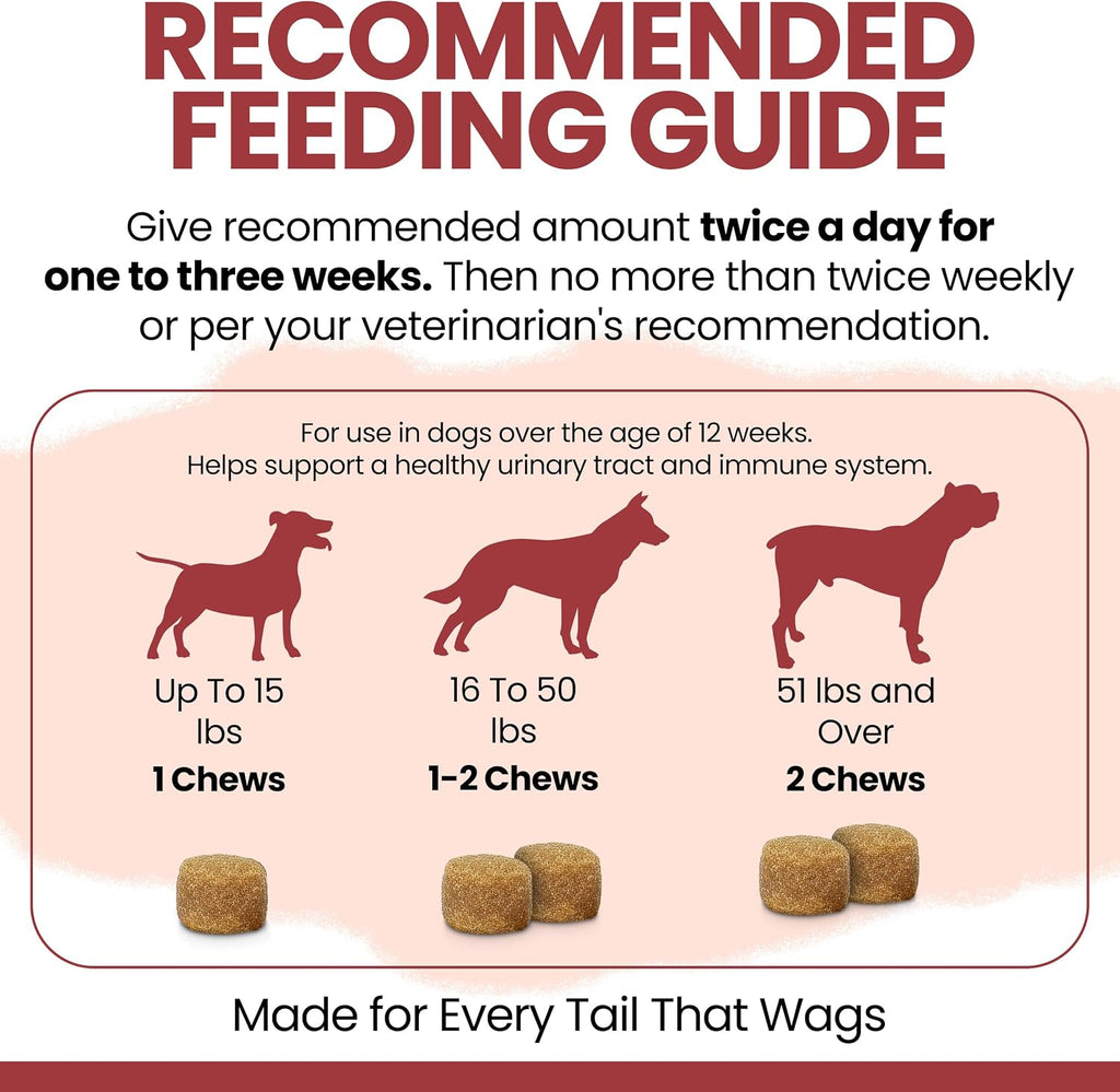 Suplemento de Arándano para Perros - 120 Snacks Blandos - Apoyo Urinario Natural