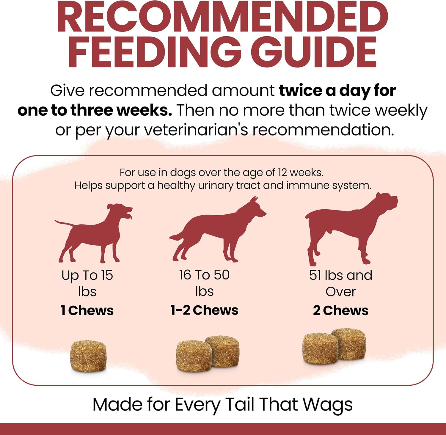 Suplemento de Arándano para Perros - 120 Snacks Blandos - Apoyo Urinario Natural