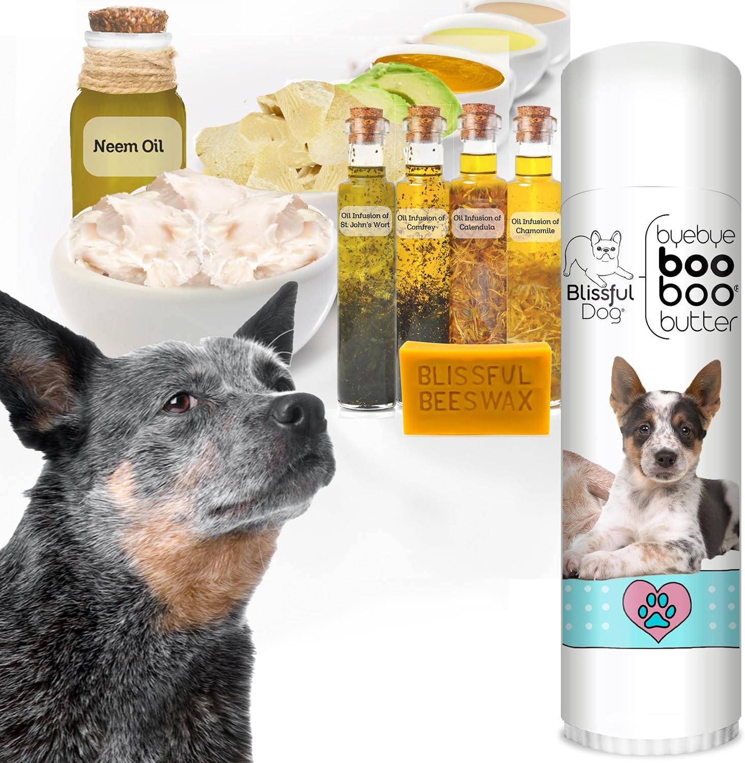 The Blissful Dog .50 oz Tube AUSTRALIAN Cattle Dog Booboo Butter