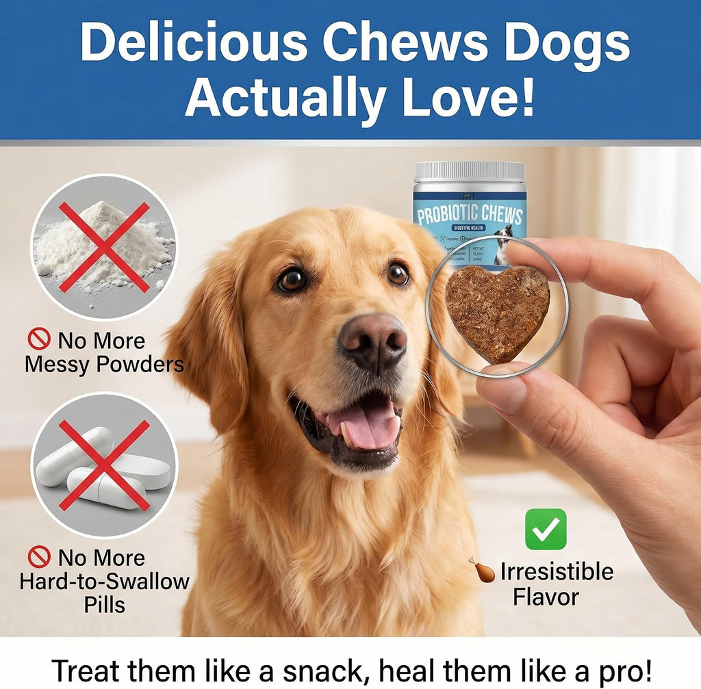 Probióticos para perros 120 masticables con enzimas y calabaza