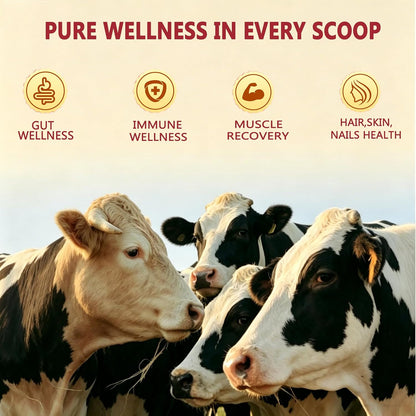 Core Bovine Colostrum Gummies - Gominolas de Calostro Bovino, 1g por Ración, Sabor Fresa, 60 Unidades – Image 2