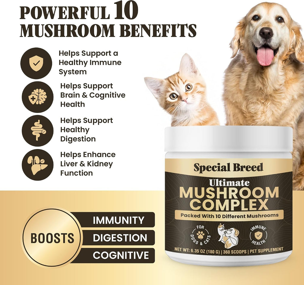 Special Breed Polvo de Hongos Orgánicos para Perros y Gatos - Complejo de 10 Hongos para Apoyo Inmunológico, Cognición y Vitalidad - 360 Cucharadas