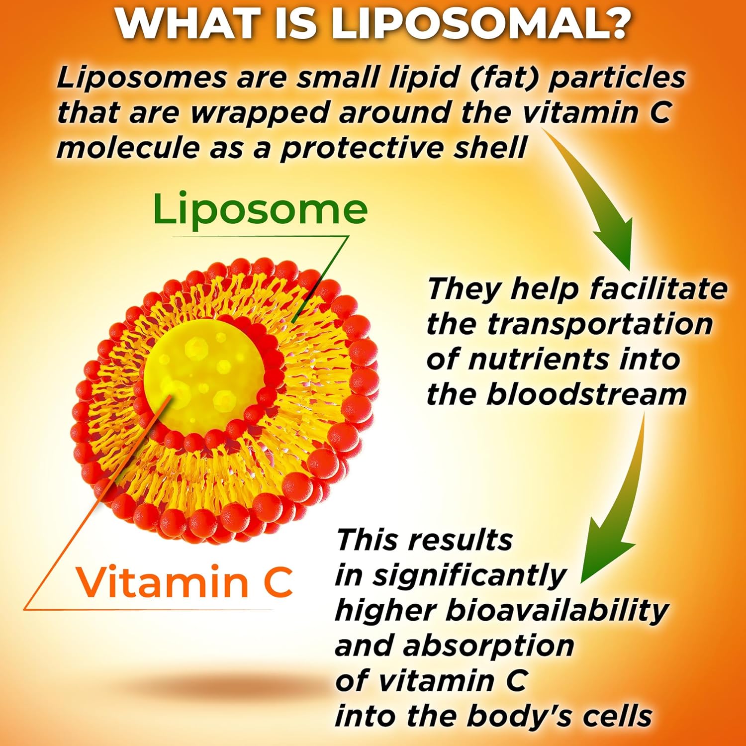 Vitamina C Liposomal 1500 mg con Acerola Orgánica y Camu Camu - 180 Cápsulas