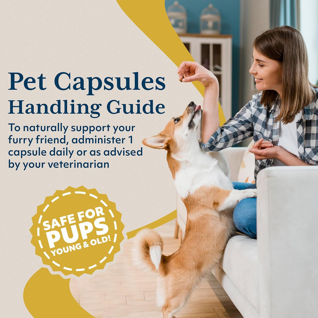 Ayush Pet Ashwagandha Cápsulas para Perros y Gatos, 120 dosis