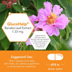 Botanic Choice Gluco Help Extracto de Hoja de Banaba - 60 Cápsulas