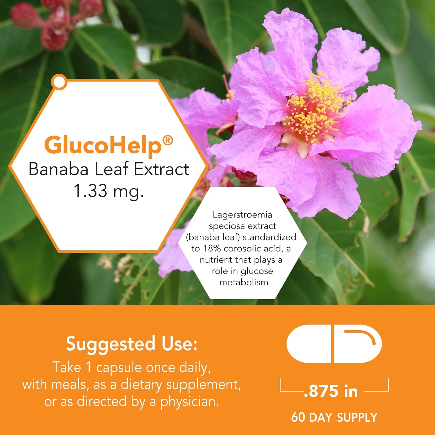 Botanic Choice Gluco Help Extracto de Hoja de Banaba - 60 Cápsulas