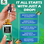 Moringa Drops – Extracto Líquido Puro de Moringa Oleifera con Soursop, Sea Moss, Aceite de Semilla Negra, Quercetina y Cúrcuma | Suplemento Superfood Multimineral y Vitaminas