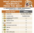 Good Guts Probiotics for Dogs – Probiótico en Polvo para Perros Medianos, 6B UFC, Enzimas y Prebióticos