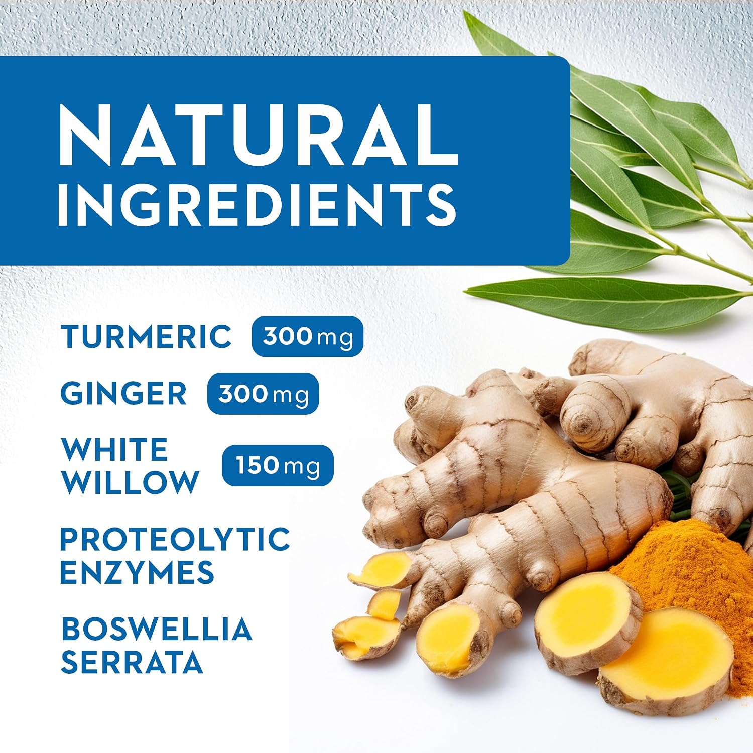 Vitaminerals® 121+ Inflamax® Plus | Quercetina | Enzimas Proteolíticas | Jengibre | Cúrcuma | 120 Cápsulas Vegetales