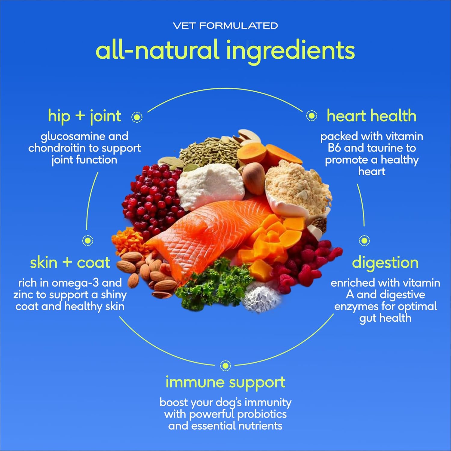 Native Pet The Daily Dog Vitamins & Supplements – Multivitamínico 11-en-1 en Polvo para Perros – 90 Dosis