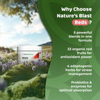 NATURES BLAST Reds - Superfood en Polvo con 23 Frutos Rojos, 4 Adaptógenos, Probióticos y Enzimas - Mezcla Vegana de Antioxidantes