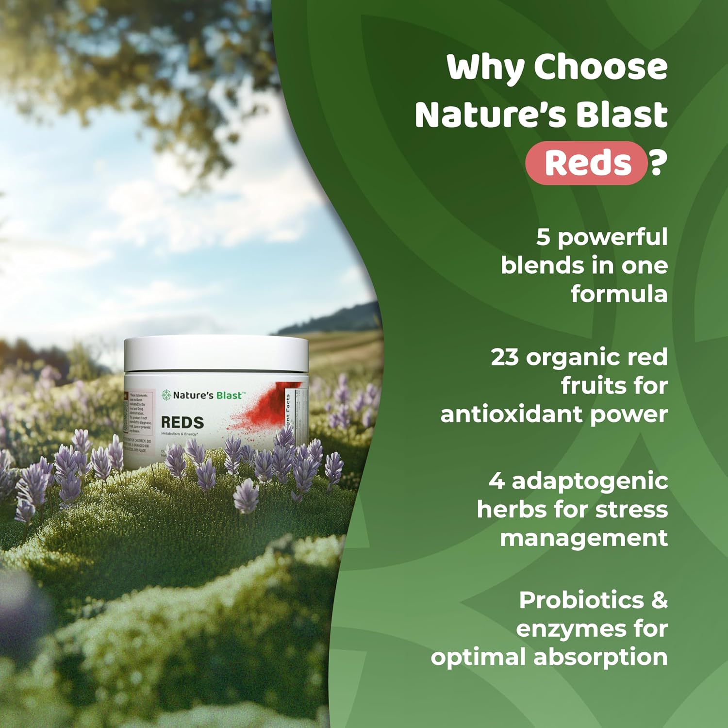 NATURES BLAST Reds - Superfood en Polvo con 23 Frutos Rojos, 4 Adaptógenos, Probióticos y Enzimas - Mezcla Vegana de Antioxidantes