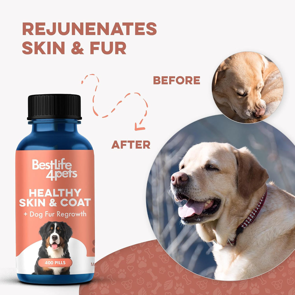 Suplemento Natural para la Piel y el Pelaje del Perro – Alivio Suave del Picor – 400 Comprimidos Pequeños Inodoros