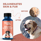 Suplemento Natural para la Piel y el Pelaje del Perro – Alivio Suave del Picor – 400 Comprimidos Pequeños Inodoros
