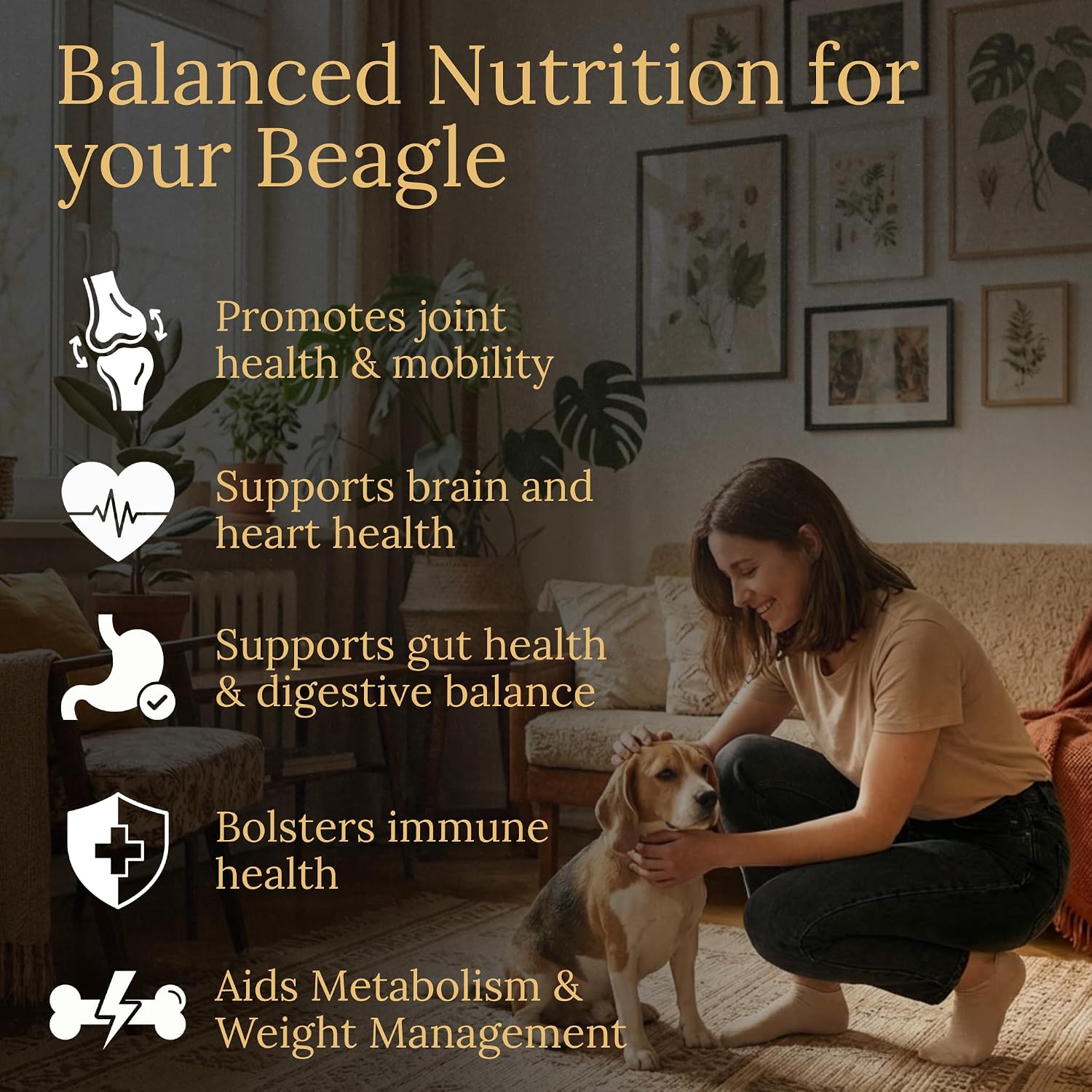 Prestige Breed Multivitamínico para Beagles, 90 comprimidos, con auténtico bacon