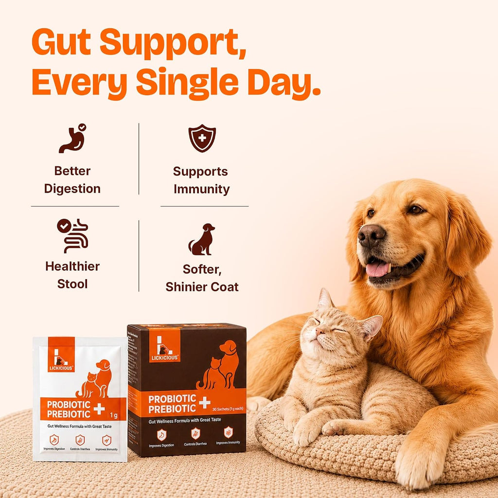 LICKICIOUS Probióticos para Perros y Gatos – Polvo Sinbiótico, 20 Sobres, 9.2B UFC, 12 Cepas con Prebióticos y Enzimas