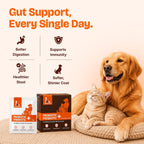 LICKICIOUS Probióticos para Perros y Gatos – Polvo Sinbiótico, 20 Sobres, 9.2B UFC, 12 Cepas con Prebióticos y Enzimas