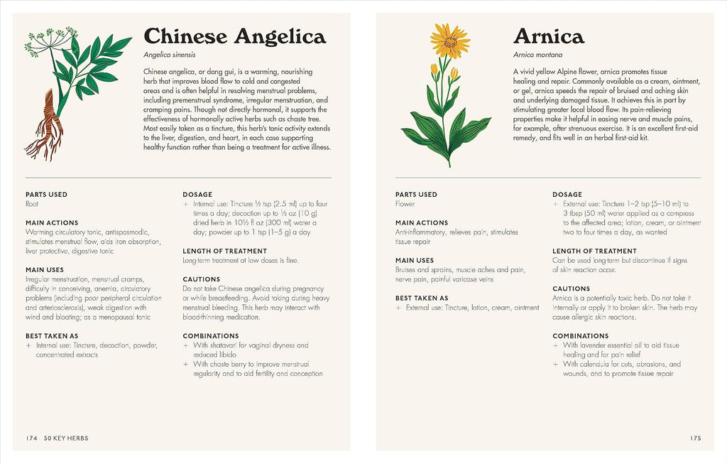 The Home Herbal: Remedios Herbales Restaurativos para la Mente, el Cuerpo y el Alma