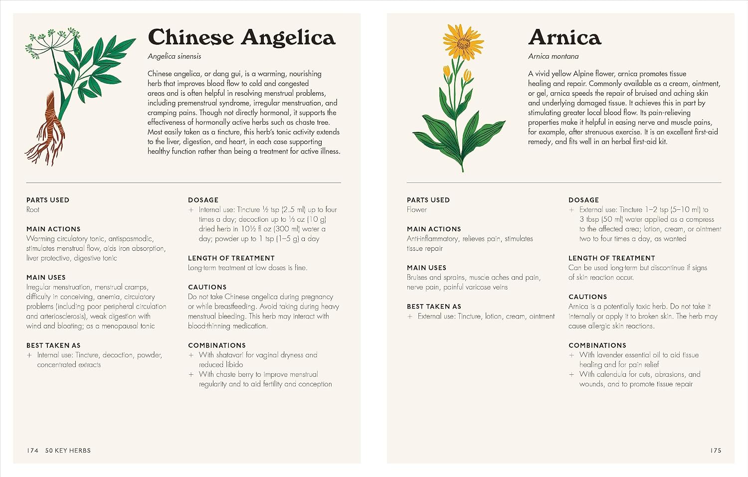 The Home Herbal: Remedios Herbales Restaurativos para la Mente, el Cuerpo y el Alma