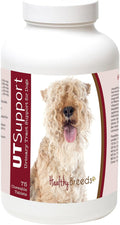 Healthy Breeds Cranberry Chewables para Perros - Apoyo Urinario - 75 Masticables