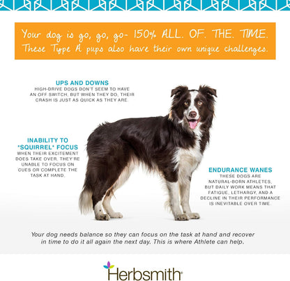Herbsmith Athlete – Suplemento de resistencia para perros – 150g en polvo – Image 5