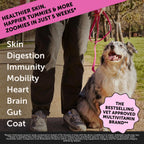 Pet Honesty Multivitamínico Máxima Potencia para Perros con Glucosamina y Probióticos, 90 Comprimidos Sabor Salmón