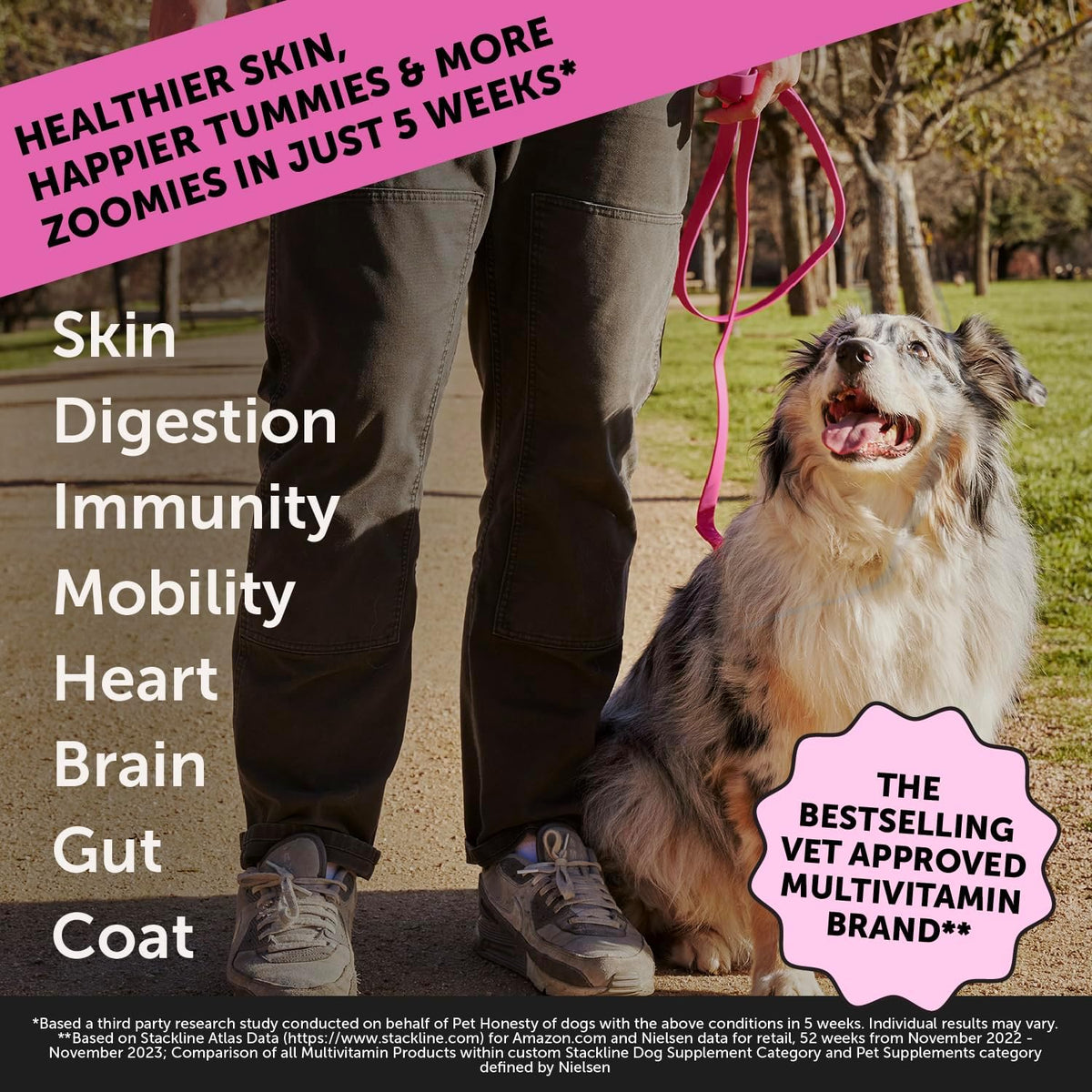 Pet Honesty Multivitamínico Máxima Potencia para Perros con Glucosamina y Probióticos, 90 Comprimidos Sabor Salmón – Image 2