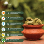 SAPTAMVEDA Comprimidos de Moringa Natural (120 comprimidos) - 500mg cada uno | Multivitamínico natural de hojas de Moringa