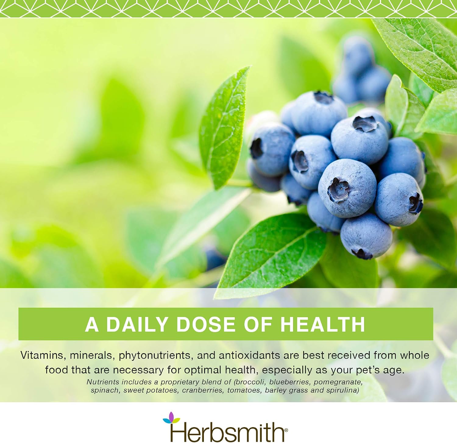 Herbsmith Nutrients Superfood Multivitamínico para Perros con Superfoods - 500 g