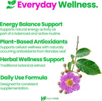 Healthfare - Extracto de Hoja de Banaba 3000mg - 90 Cápsulas Veganas - Estandarizado con Ácido Corsólico