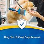 Doc Roy's Derma Coat Plus, Soft Chews with Omega 3-6-9 and Biotin for Dogs, 120 Count